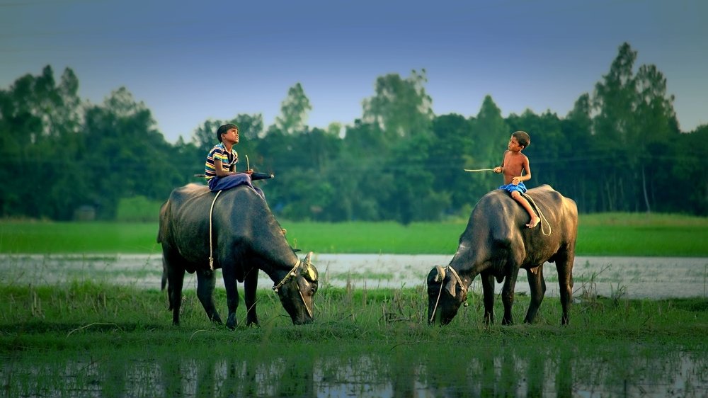 Photograph by Kayes Md Imrul