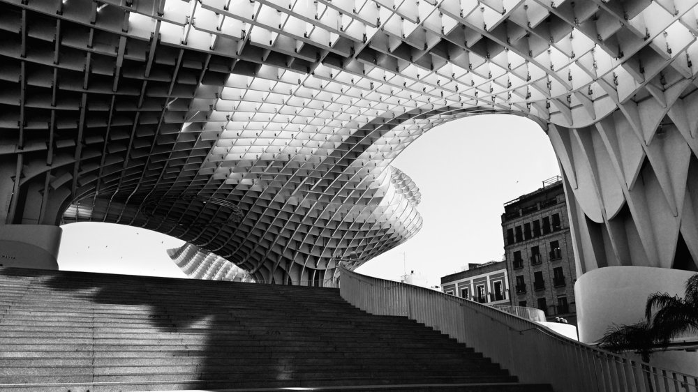 Photograph by Igor Filipenco