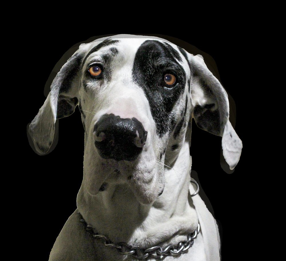 Photograph by Monica Macri