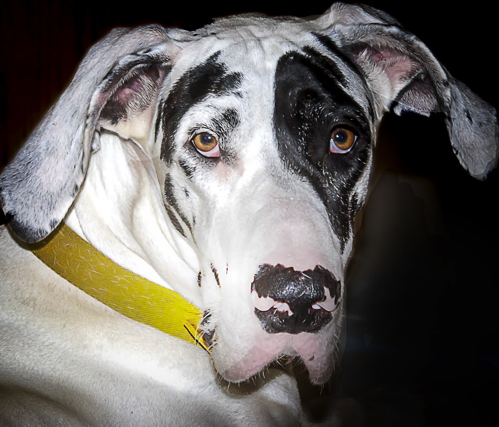 Photograph by Monica Macri