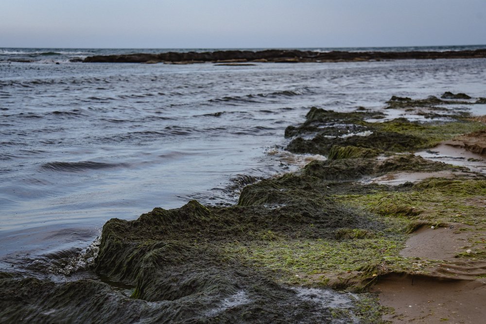 Photograph by Виктория Куликова