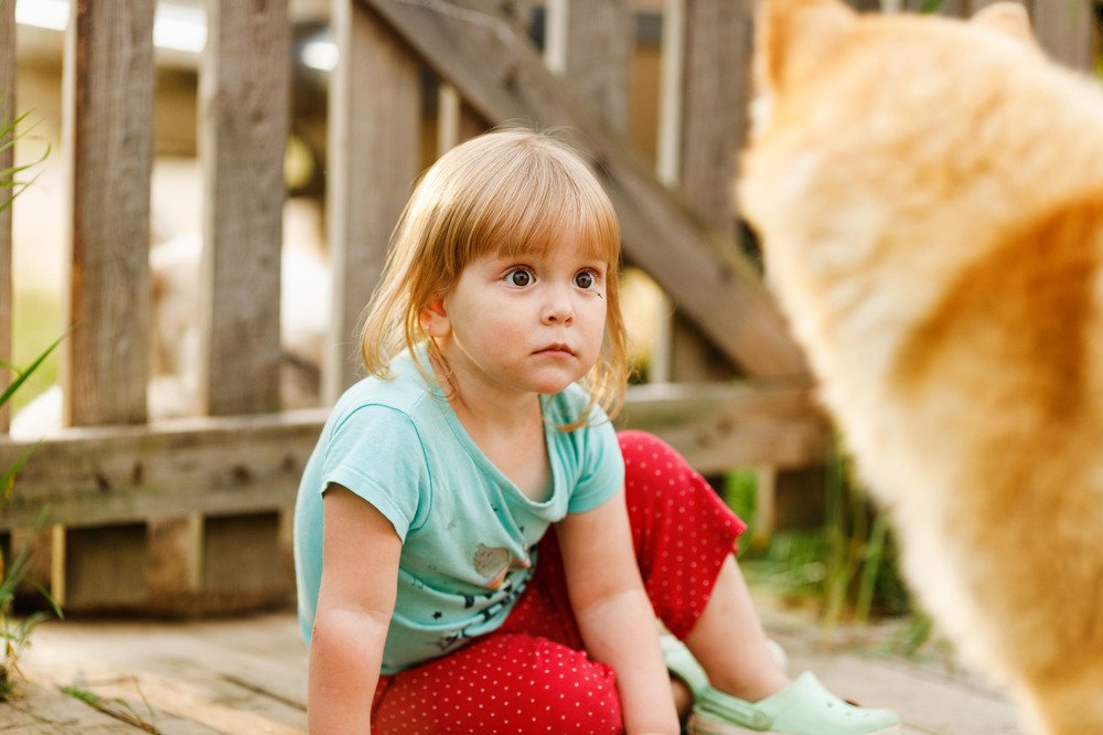 Photograph by Елена Горохова