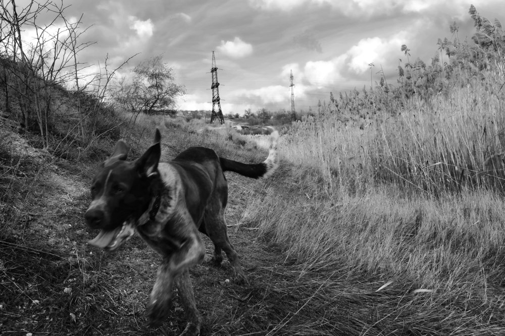 Photograph by Игорь Юркивский