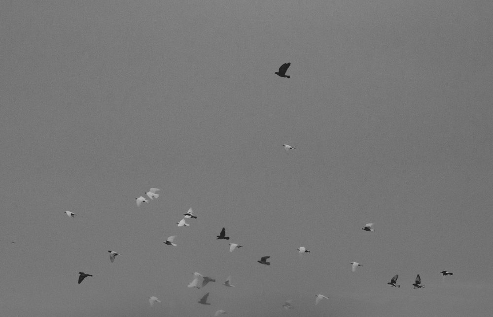 Photograph by Виктория Куликова