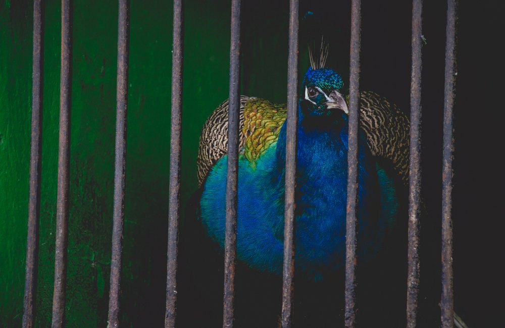 Photograph by Виктория Куликова