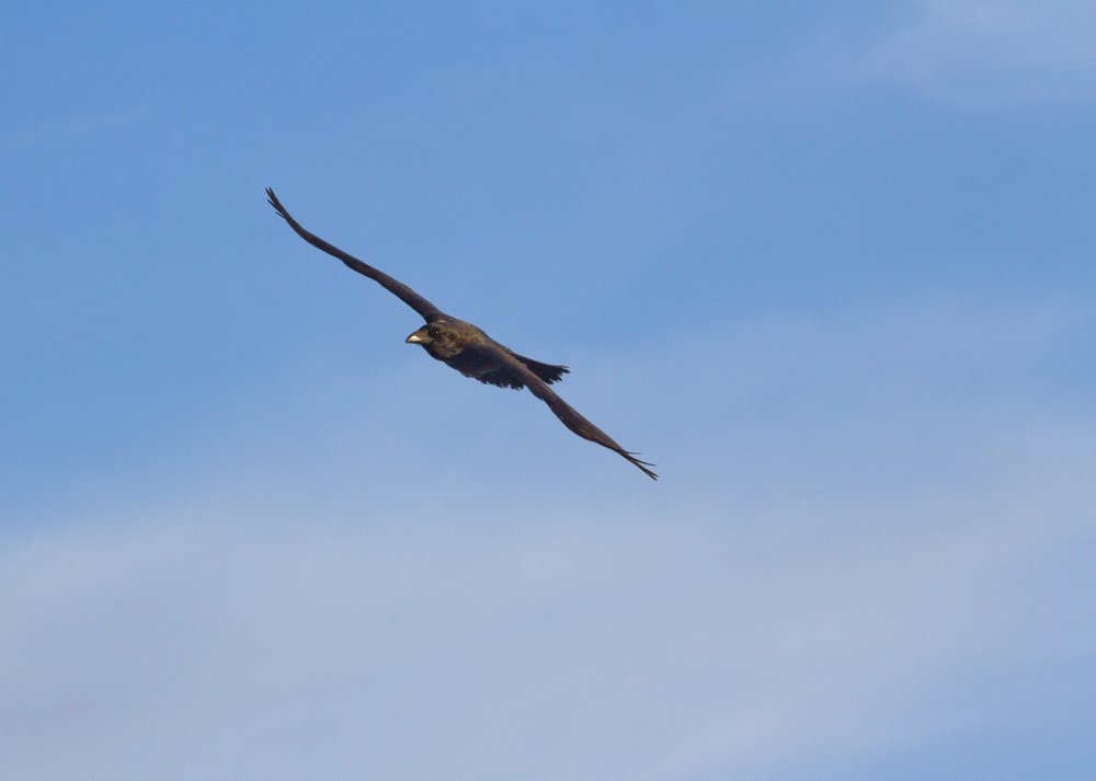 Photograph by Андрей Ходыкин