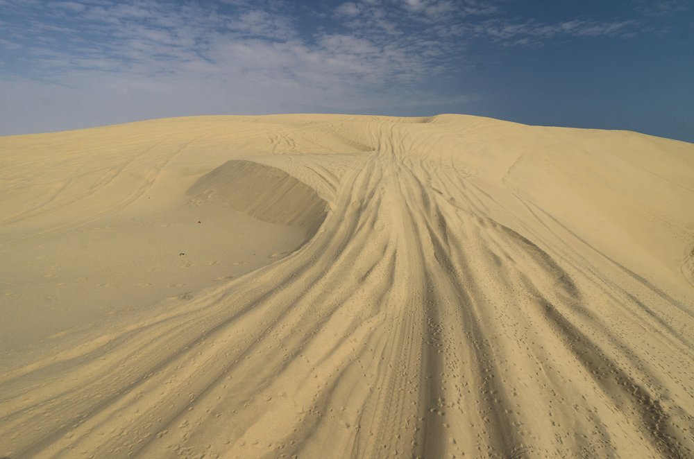 Photograph by Andrea Diaz-Perezache