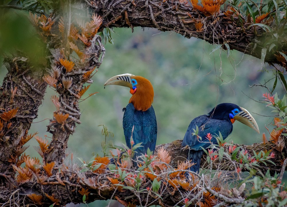 Photograph by Amrito Chakraborty