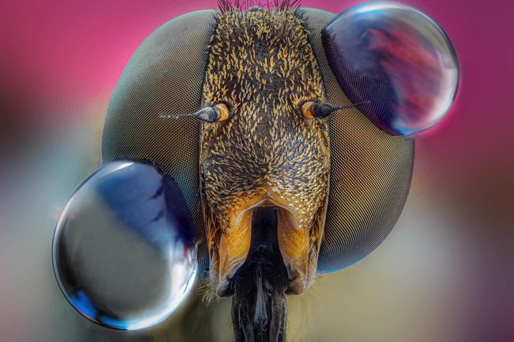 Photograph by Norberto Martínez