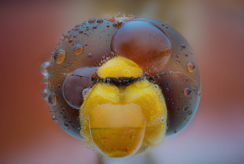 Photograph by Norberto Martínez