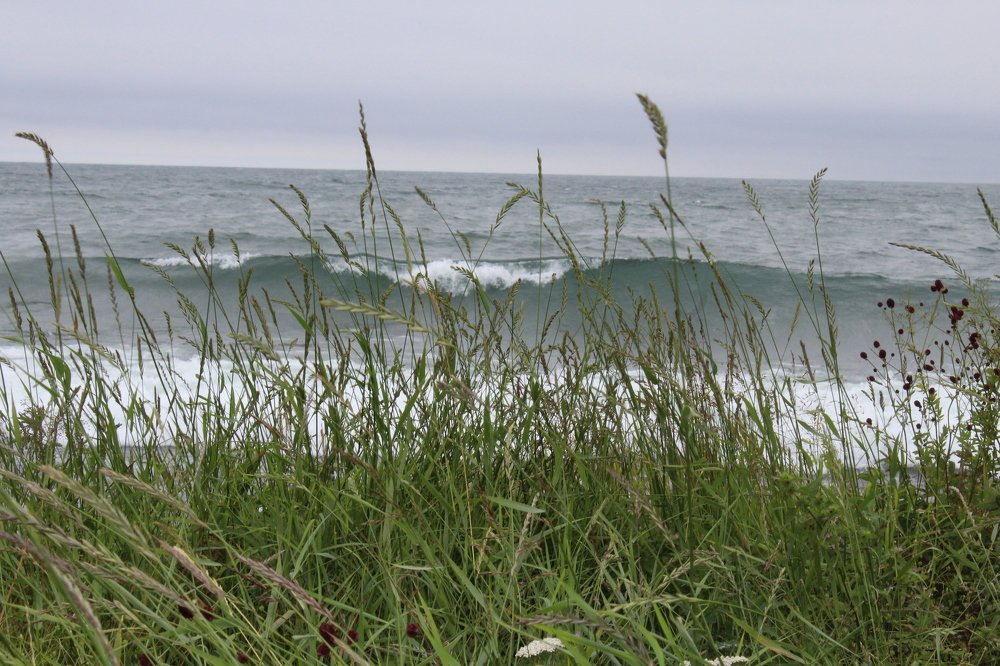 Photograph by  Людмила