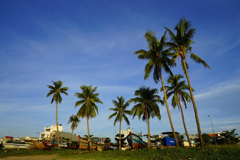 Photograph by Nguyễn Hiệp