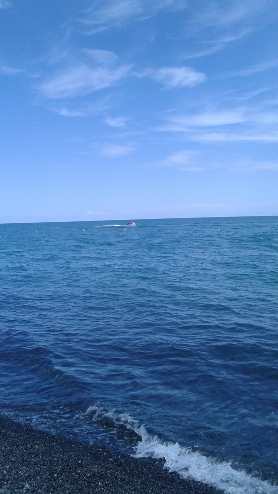 Photo #4980495