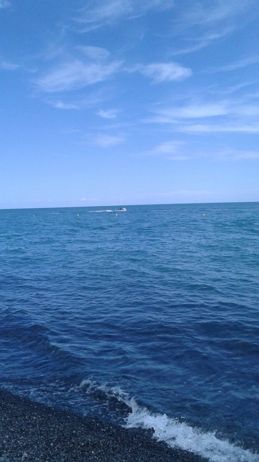 Photo #4980495