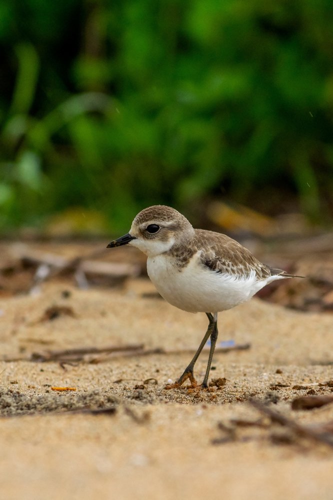 Photograph by Prasad Kn