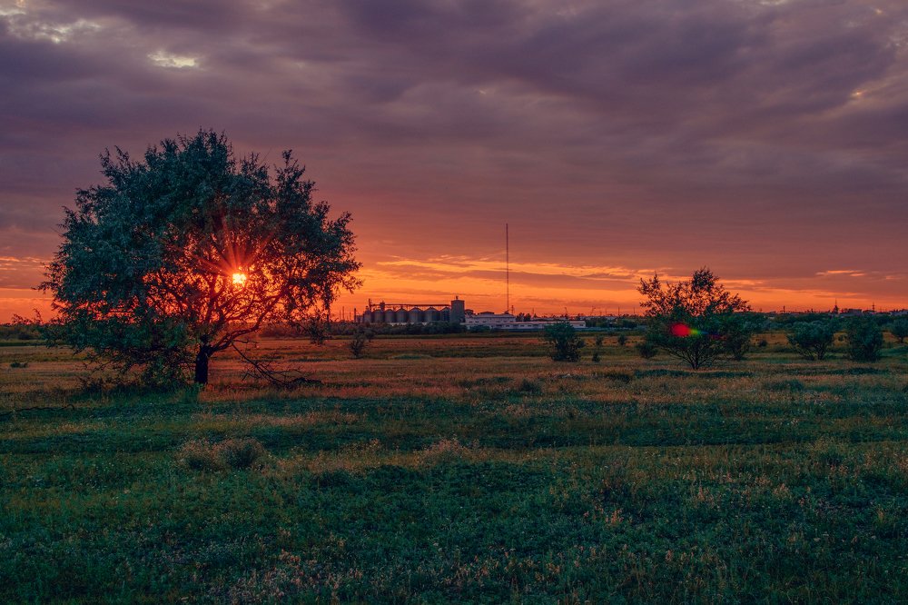 Photograph by Илья Десна