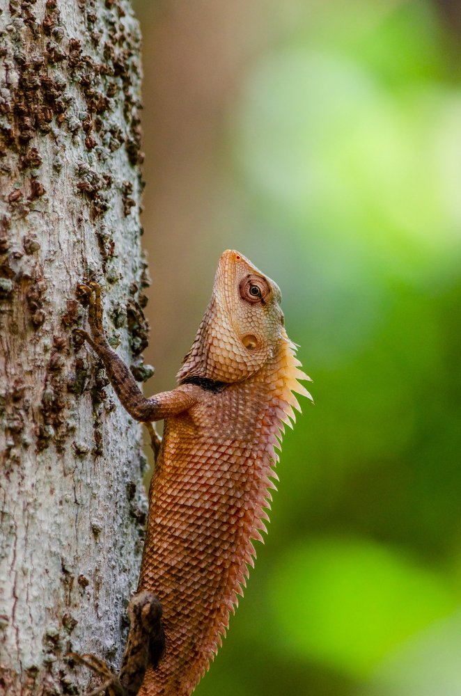 Photograph by Prasad Kn