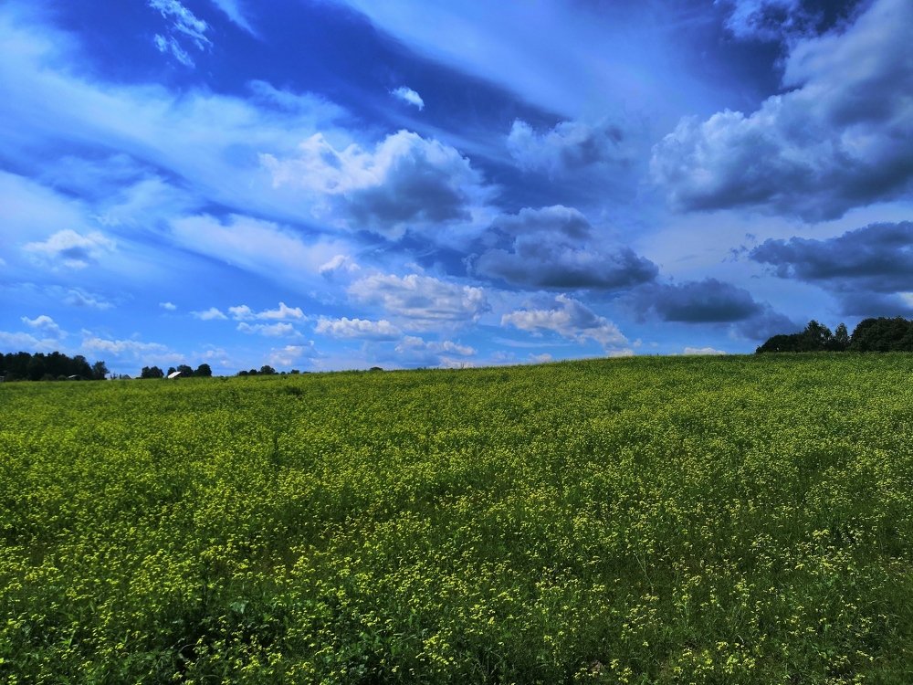 Photo #4980680