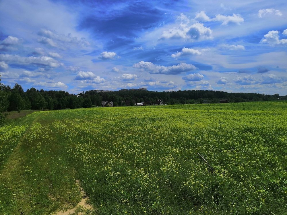Photo #4980681