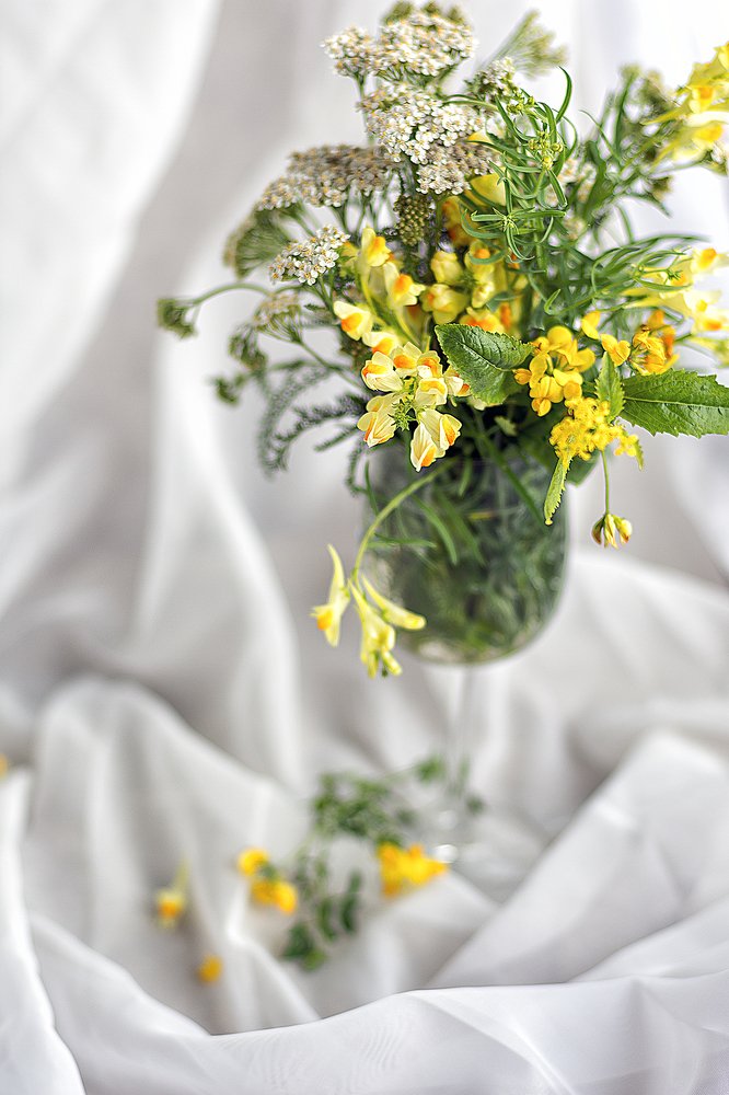 Photograph by Елена Стещенко