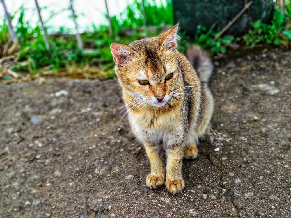 Photograph by Abhijit Roy