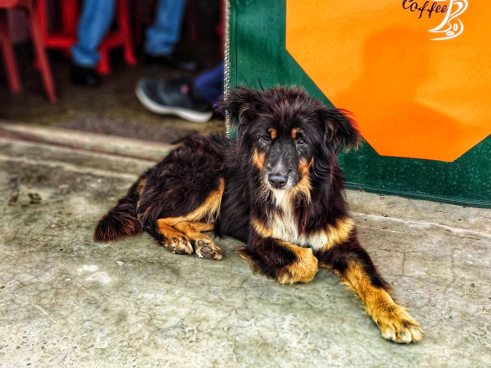 Photograph by Abhijit Roy