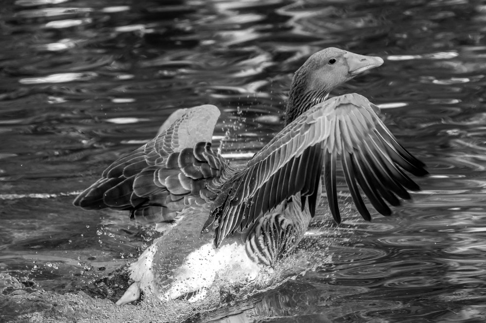 Photograph by Kostas Rammos