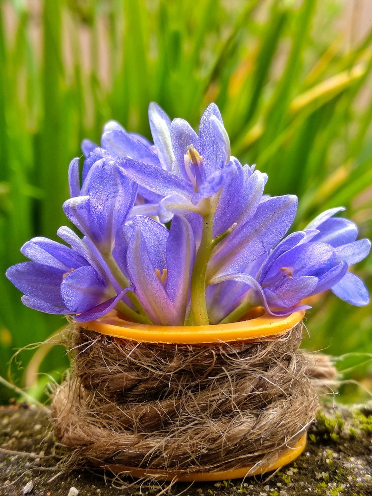 Photograph by Abhijit Roy