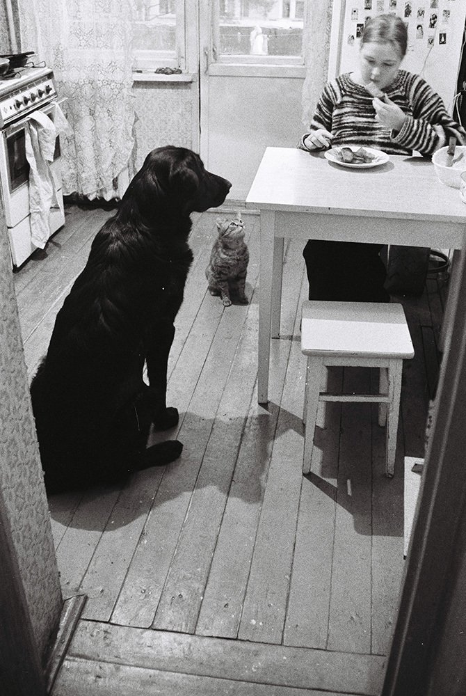 Photo #4980820