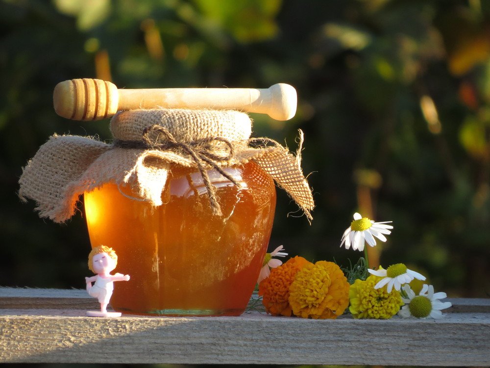 Photograph by Елена Жадько