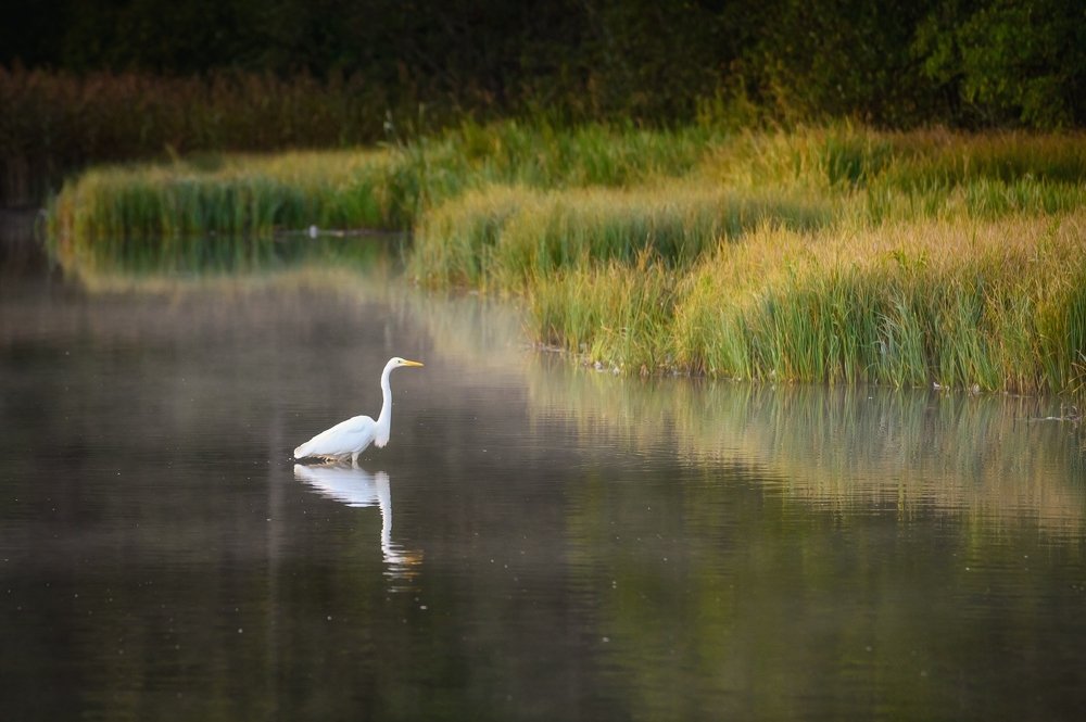Photograph by Roman Dmitriev