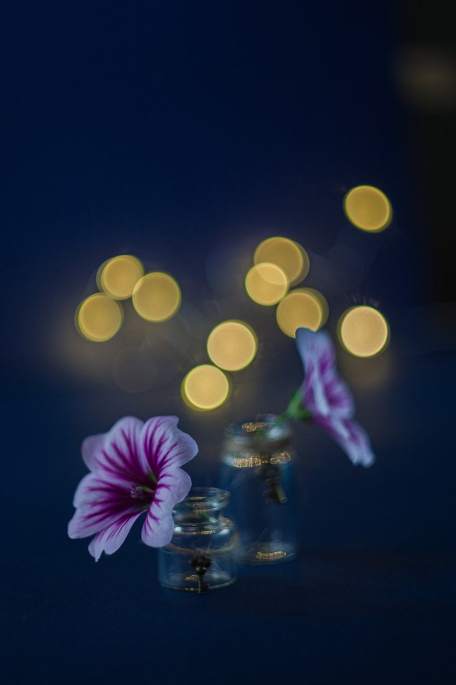 Photograph by Валентина Кананина