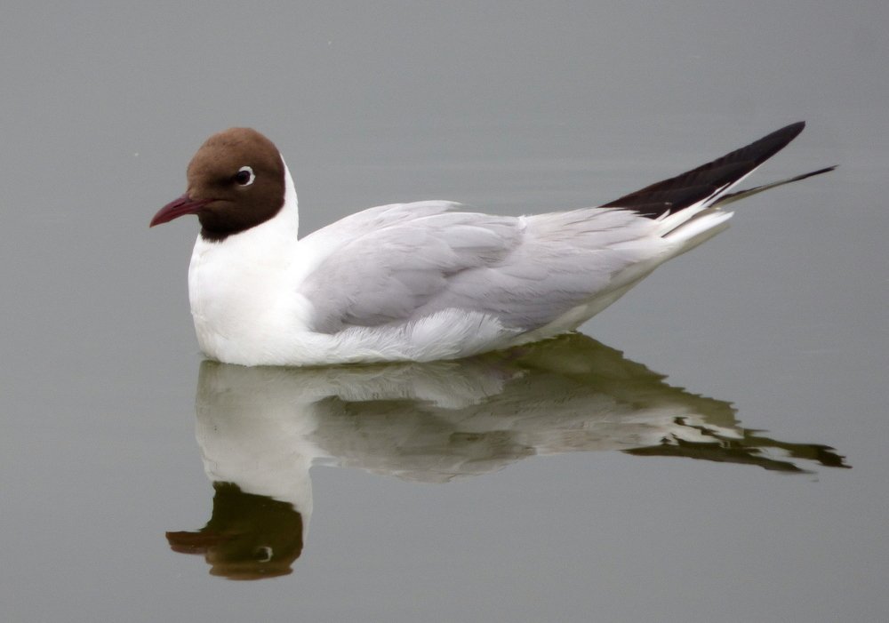 Photograph by Pjotr Alekseev