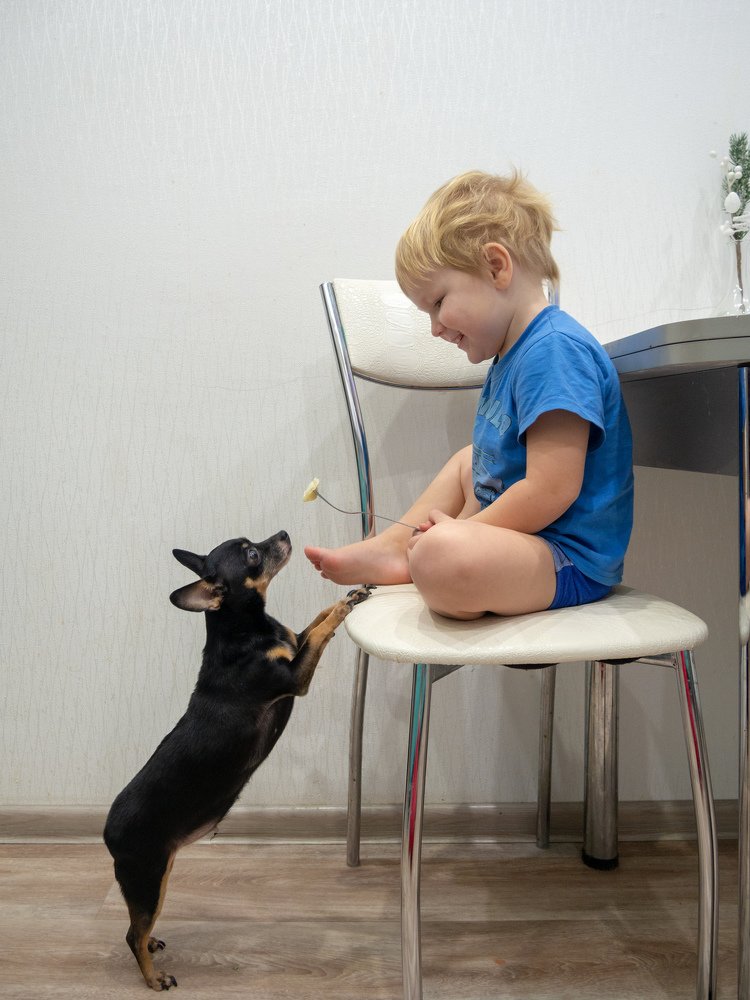 Photograph by Евгения Сунько