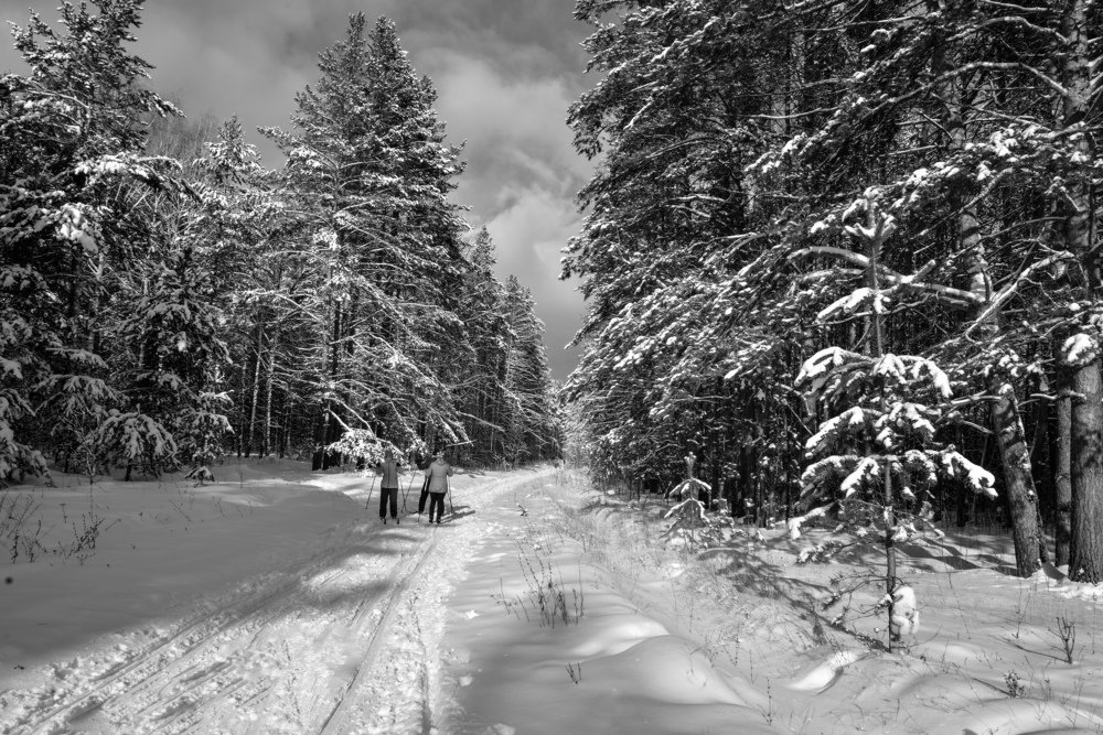 Все на лыжи