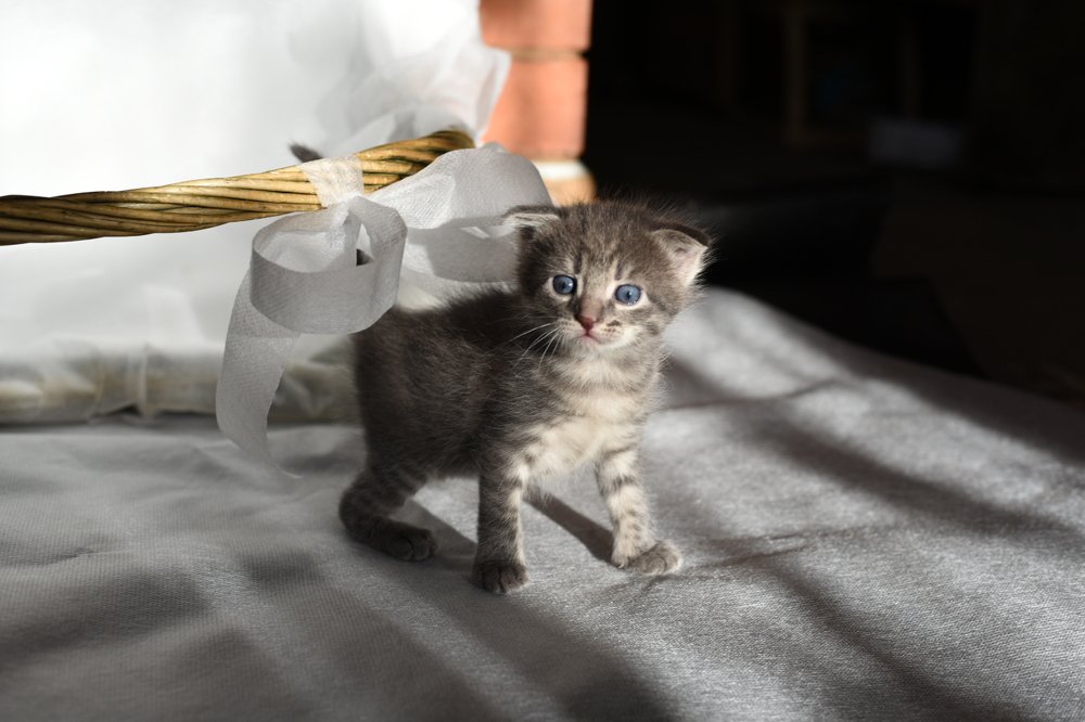 Photograph by Семен Батов