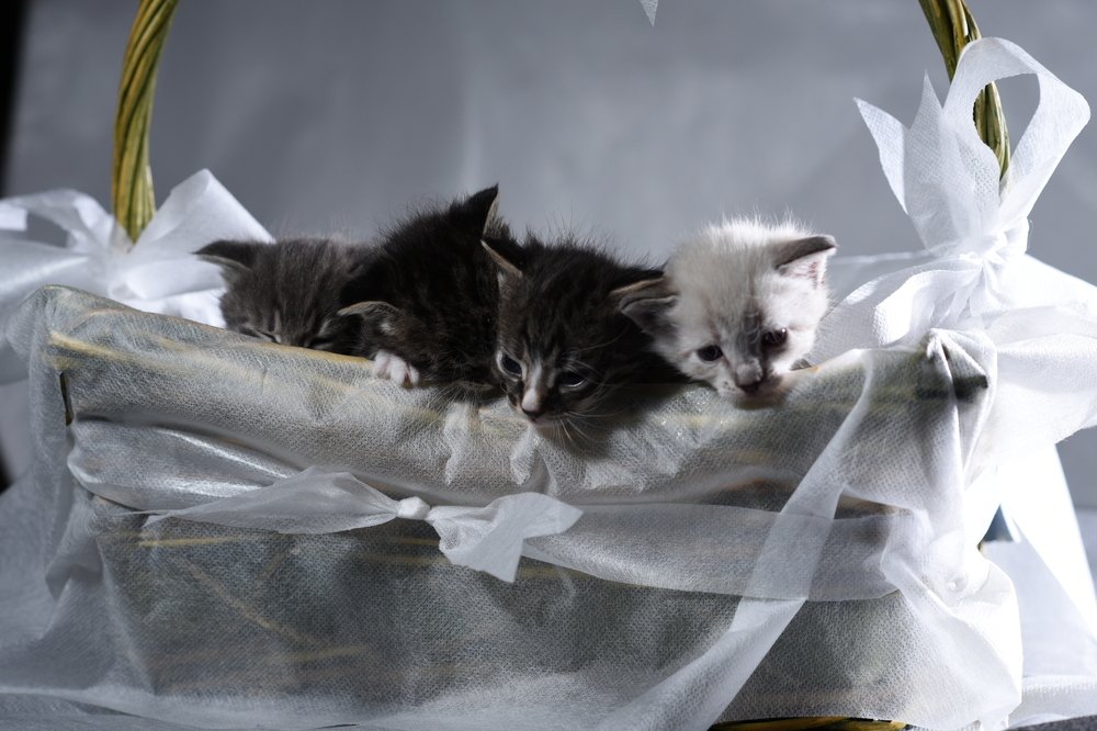 Photograph by Семен Батов