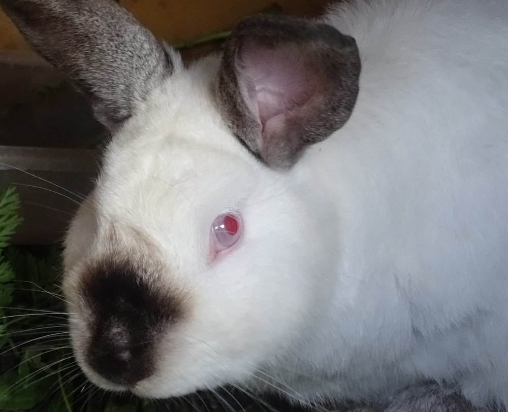 Photograph by Юлия