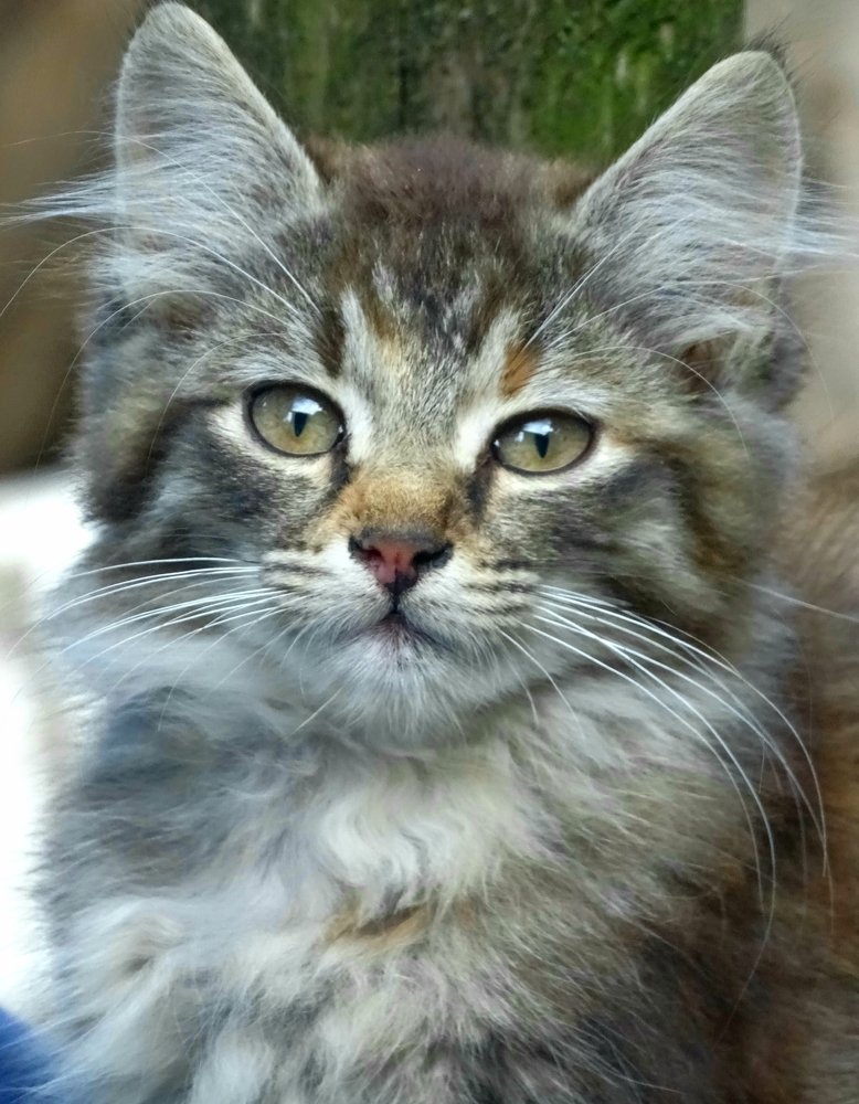 Photograph by Юлия