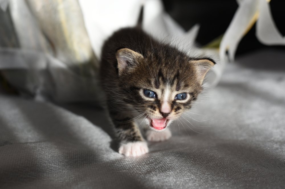 Photograph by Семен Батов