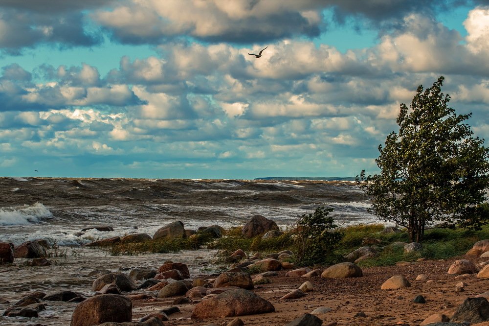 Photograph by Gaļina