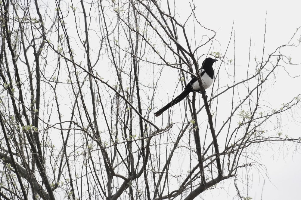 Photograph by Sedef Onum