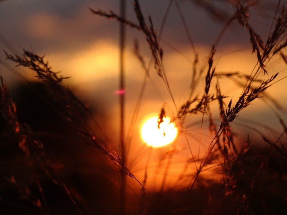 Photograph by Юлия