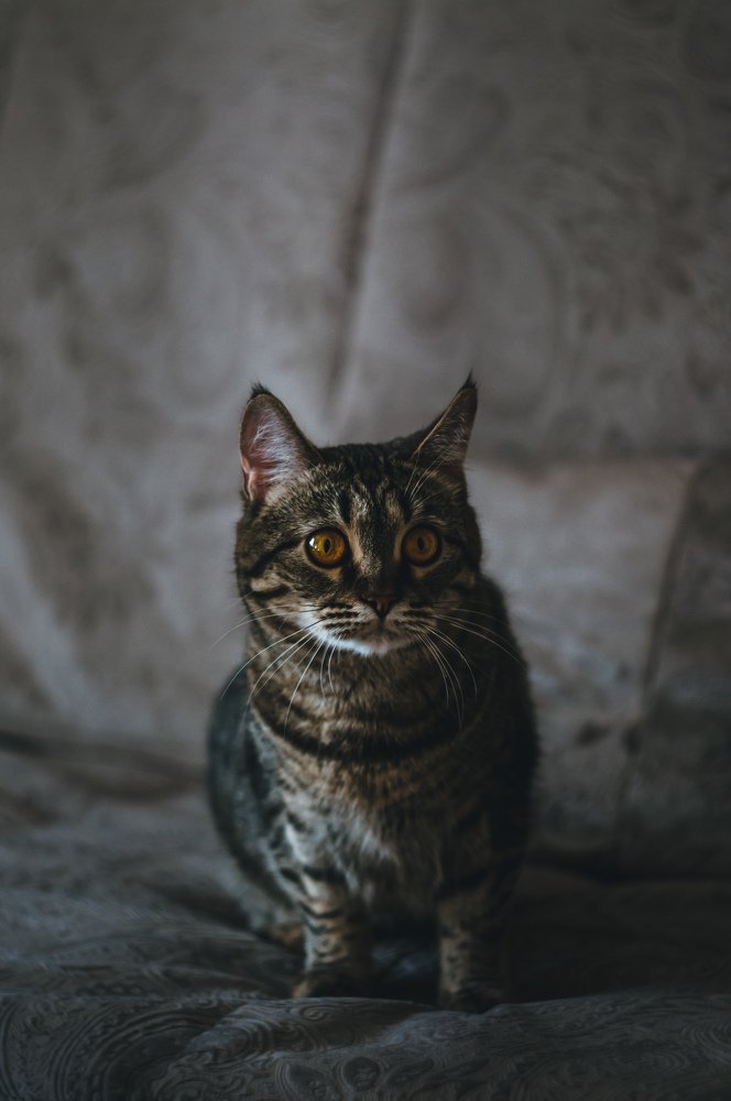 Photograph by Динара Зуйкова