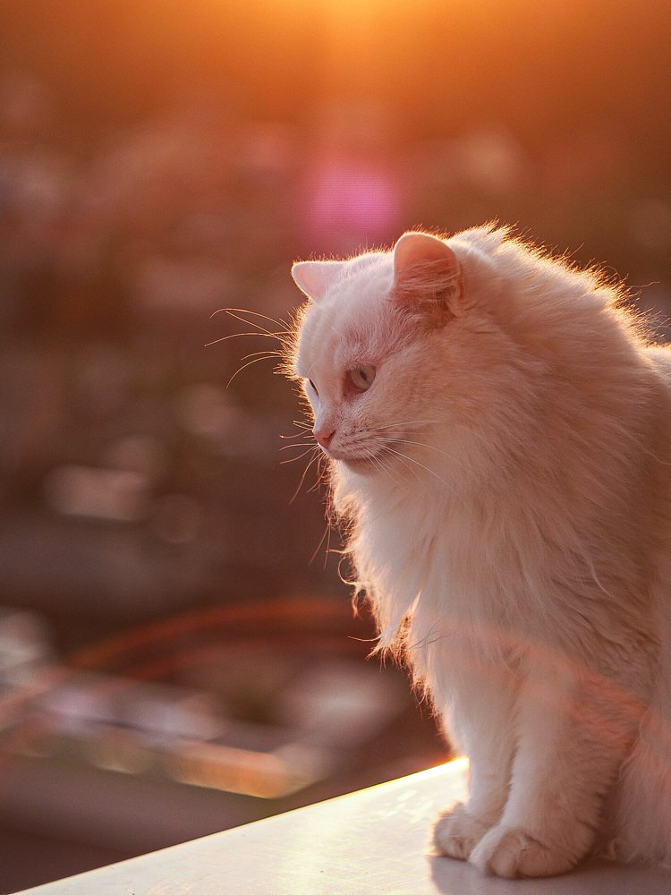 Photograph by Олеся Семенова