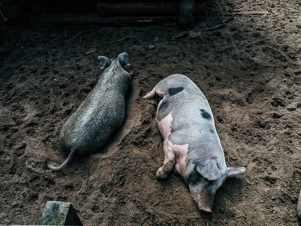 Photograph by Олеся Семенова