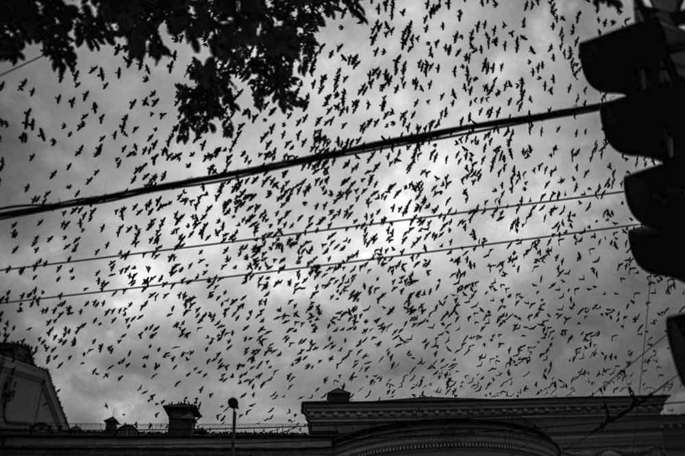 Photograph by Александр