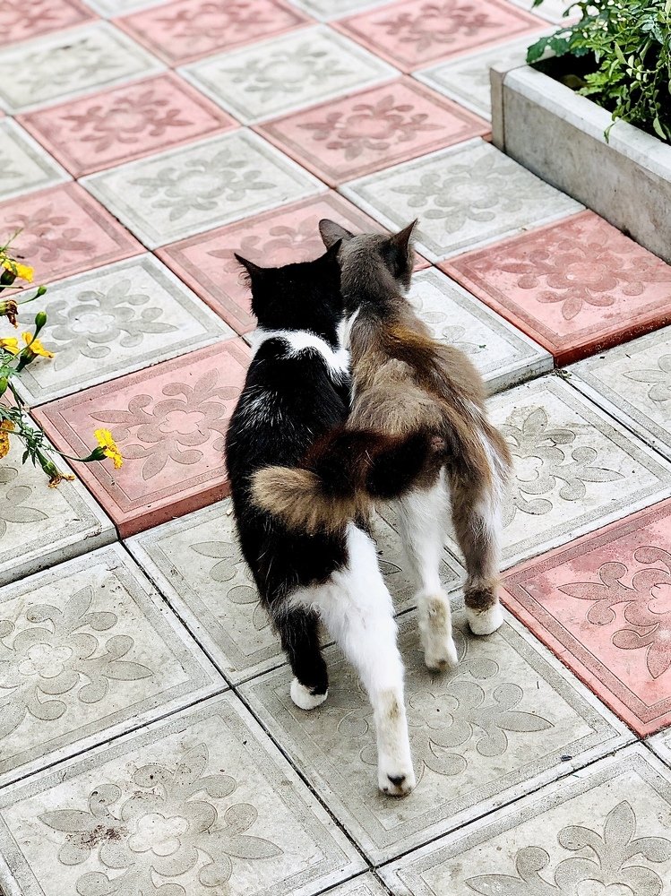 Photograph by Олеся Семенова