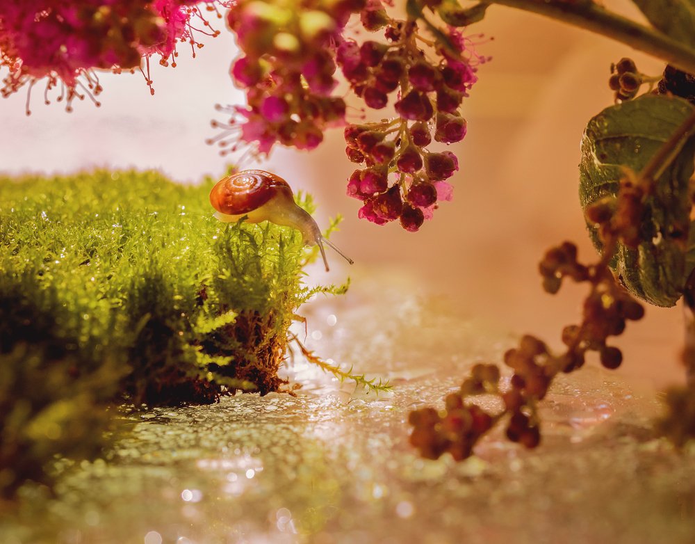 Photograph by Елена Иванова