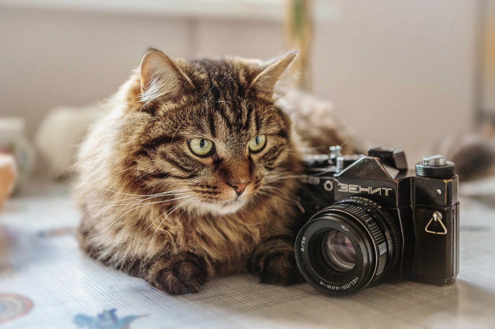 Photograph by Владислав Мотузенко